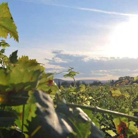 Logis Le Parc De Geoffroy Hotell 4*