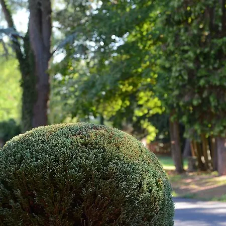 Logis Le Parc De Geoffroy 4* טייר