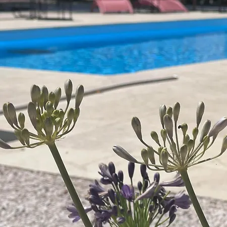 Logis Le Parc De Geoffroy Hotell Thiers